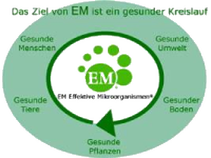 EM-Kreislauf